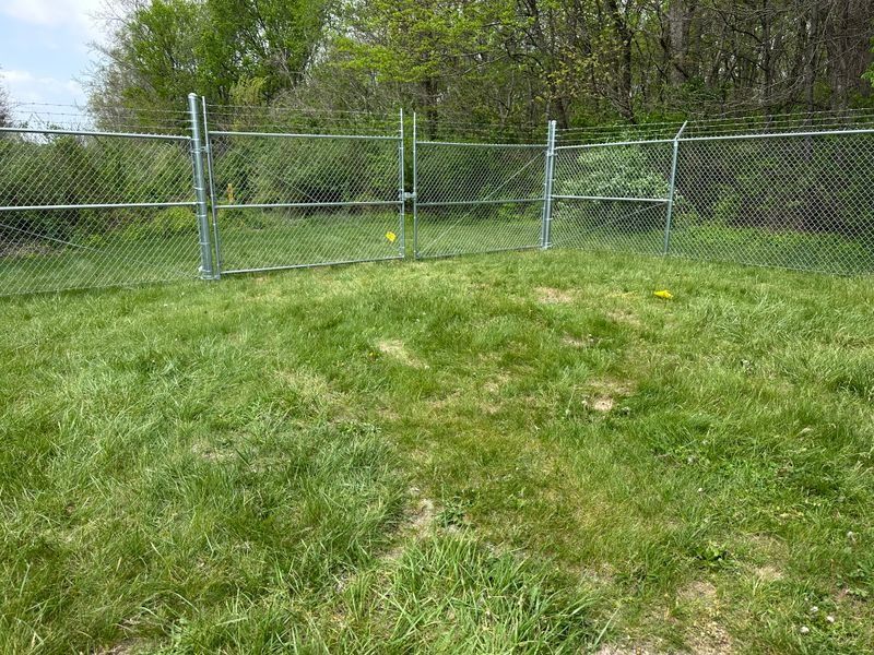 Grassy yard with a chain-link fence and dense green trees in the background