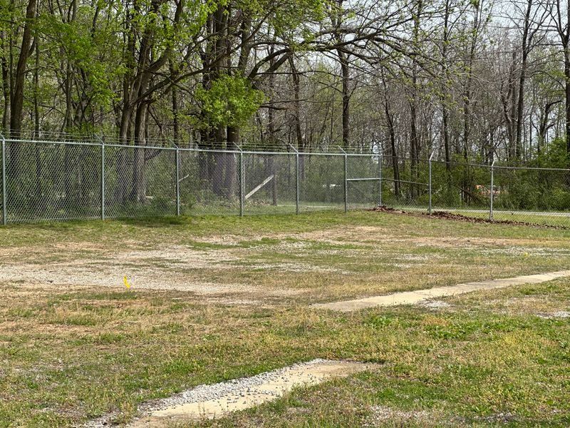 Grassy park clearing beside a chain-link fence and trees under overcast sky
