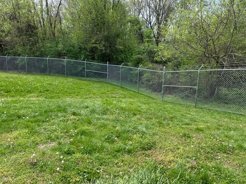 Grassy field beside a chain-link fence with trees in the background