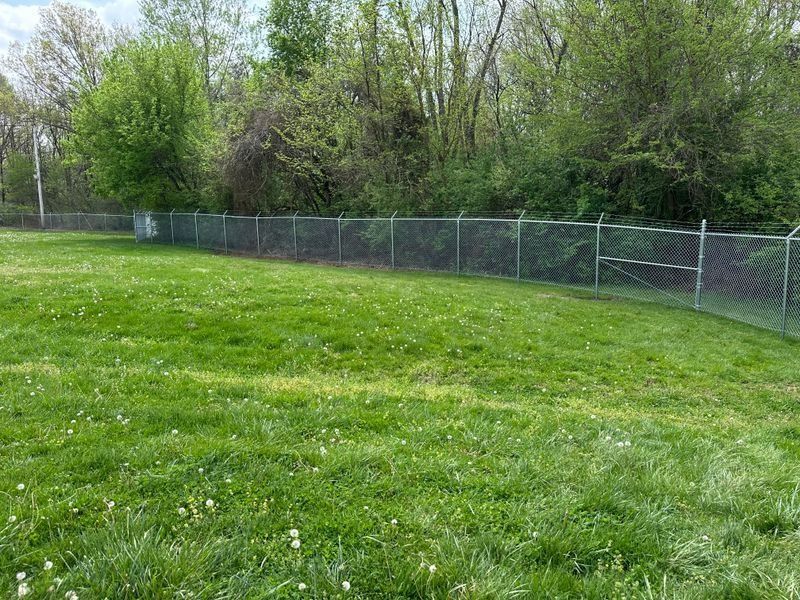 Grassy park field bordered by a chain-link fence and leafy trees in spring