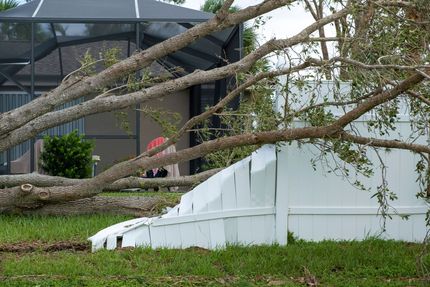 Downed tree branches block a white tent-like structure in a grassy yard near a building.