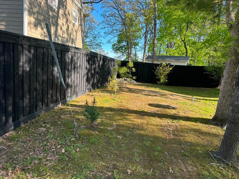 Narrow grassy backyard beside a dark wooden fence, with trees and sunlight.