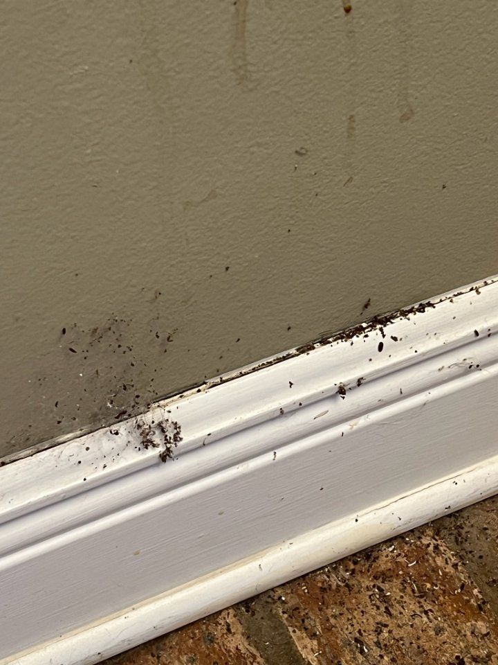 A white molding is sitting on the floor next to a wall.