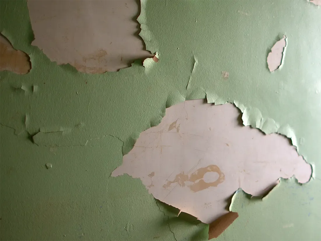 Understanding New Jersey's LeadBased Paint Regulations Ensuring Safety with MasterTech North