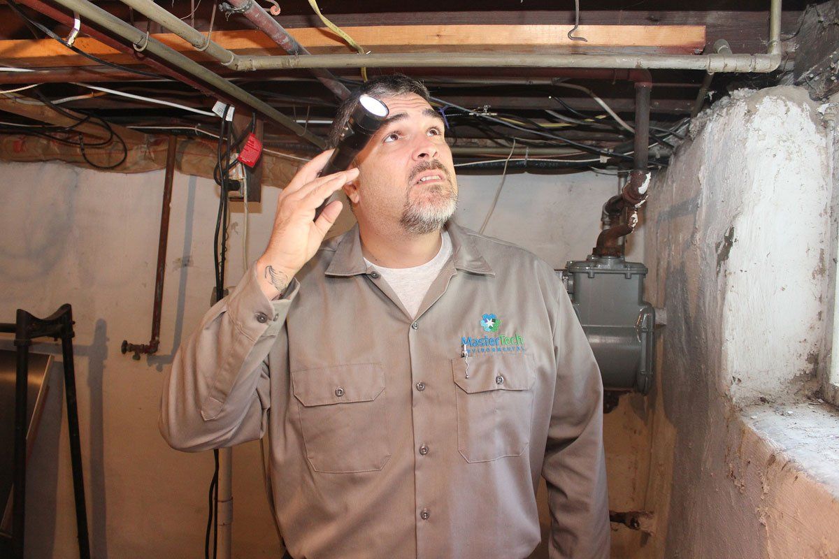 Mold Inspection Morristown NJ