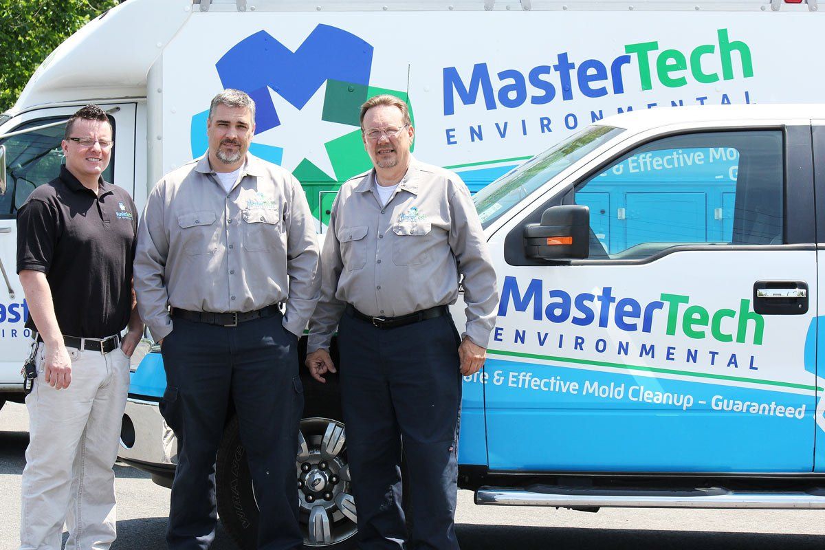 Mold Remediation Berkeley Heights