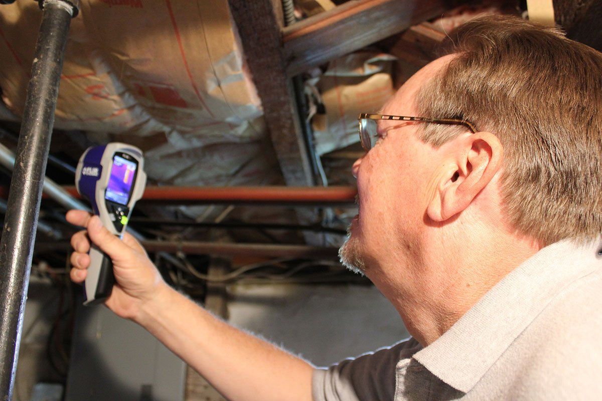 Mold remediation Sparta, NJ