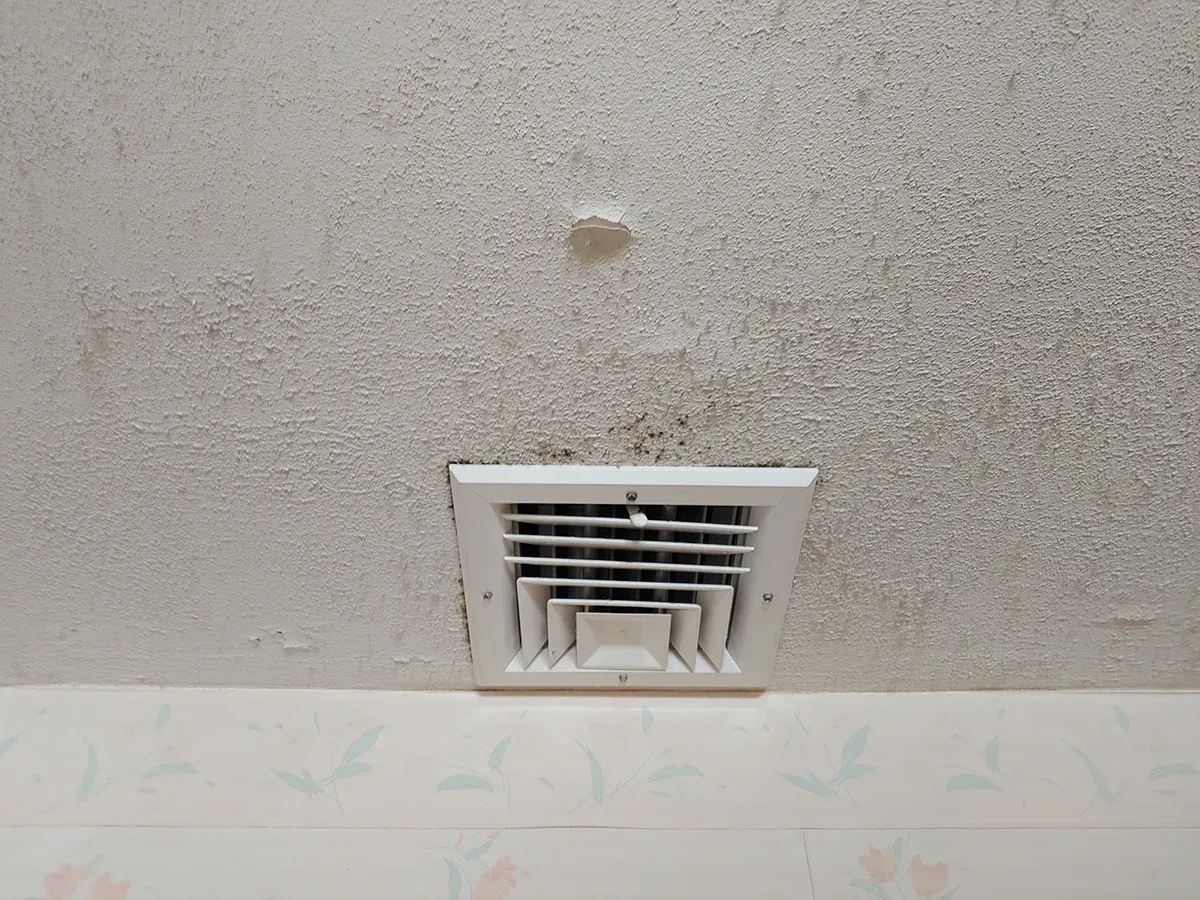 Mold inspection Bridgewater NJ