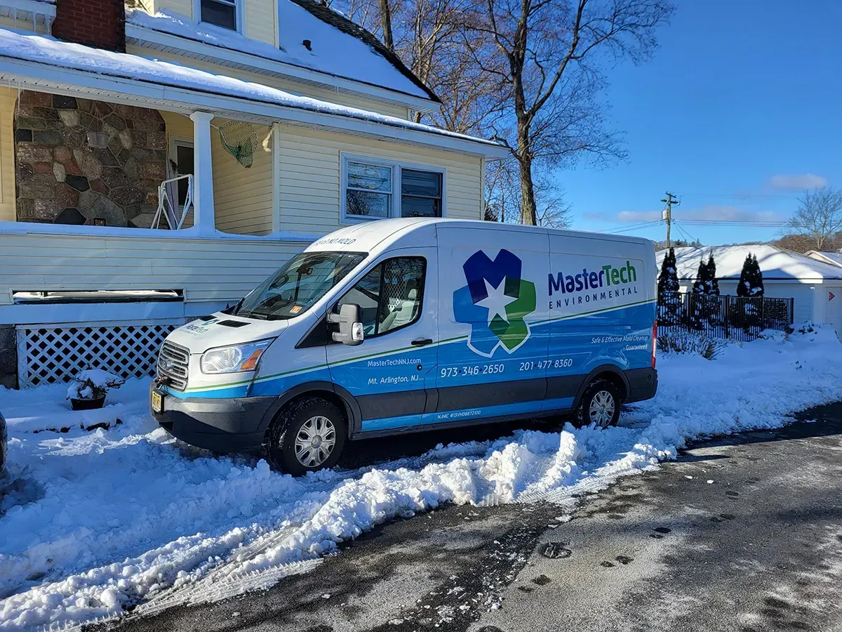Mold inspection in Morristown NJ