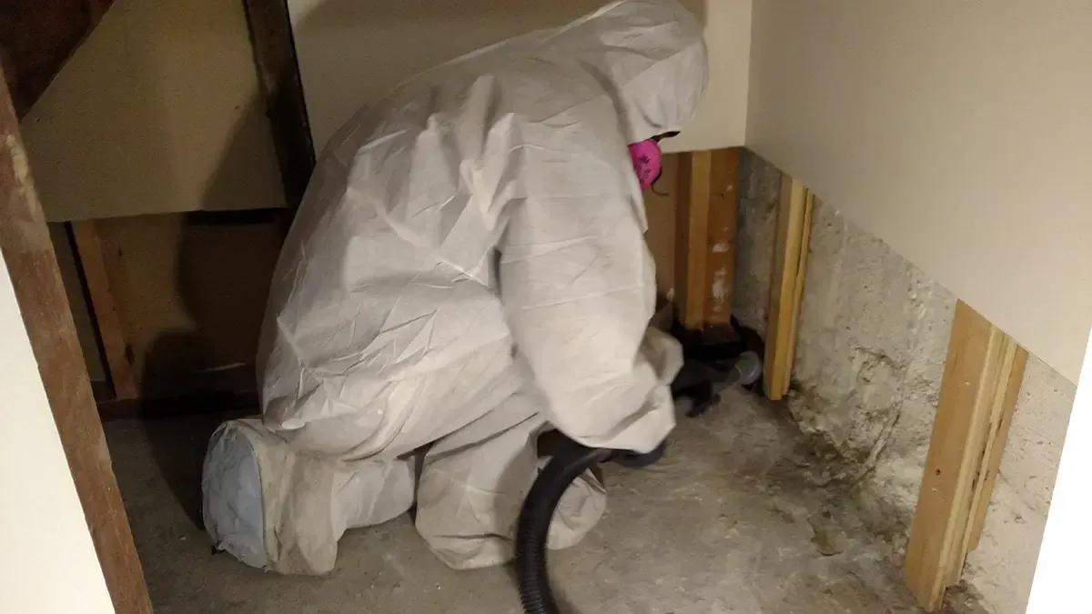 Mold Inspection Morris County NJ