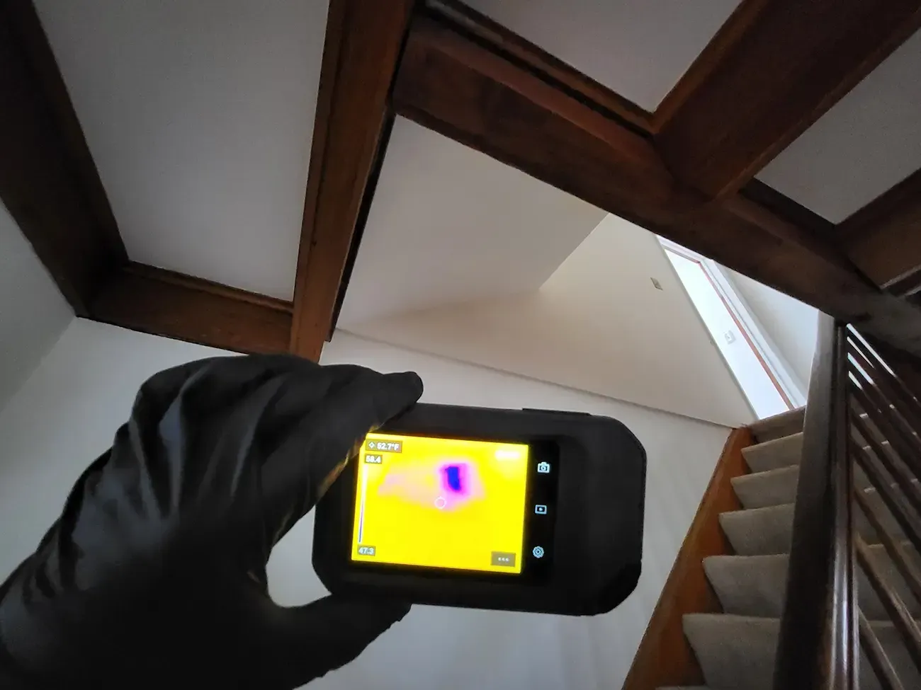 Mold inspection Morristown NJ 5