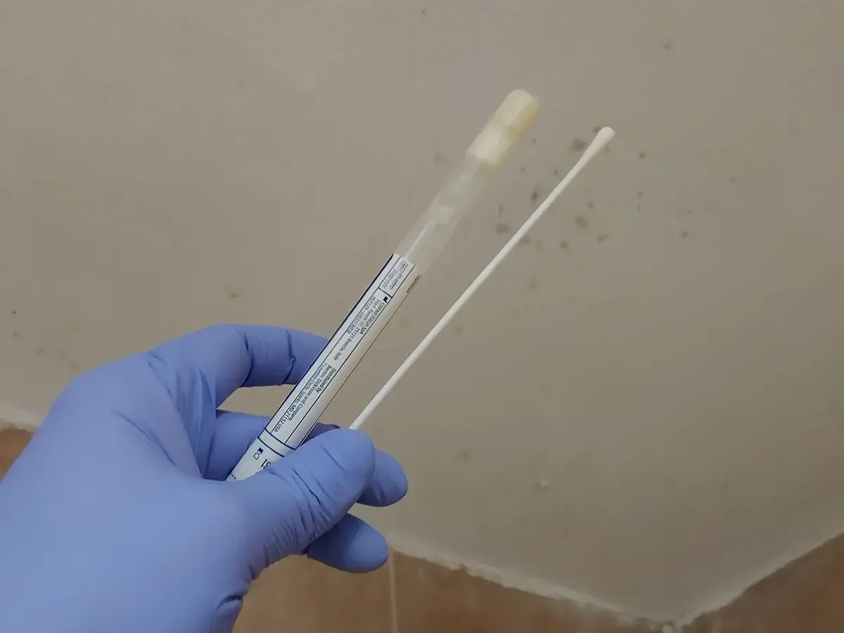 Mold Inspection Summit County NJ