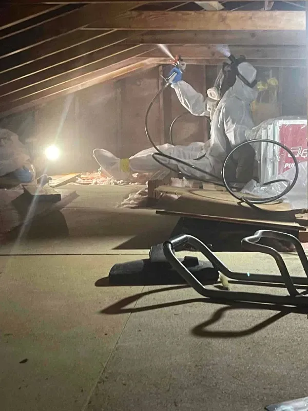 Mold Remediation Caldwell NJ