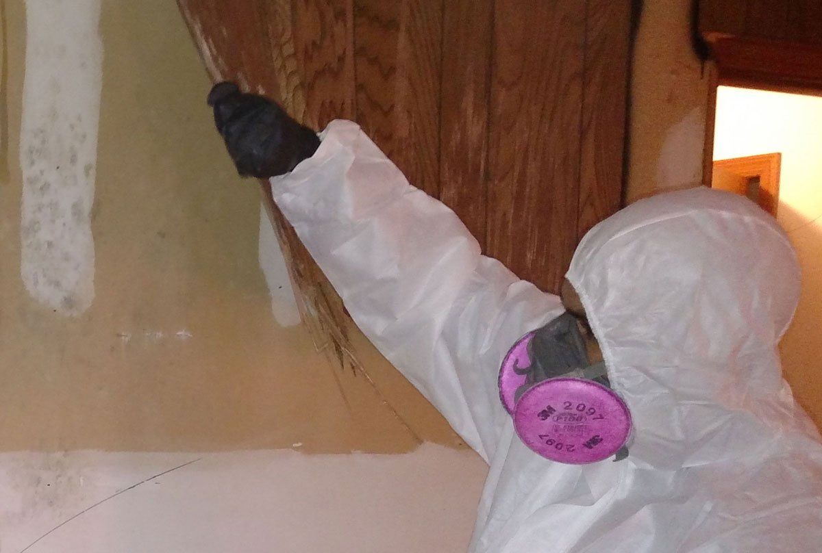 Mold Remediation Morristown NJ