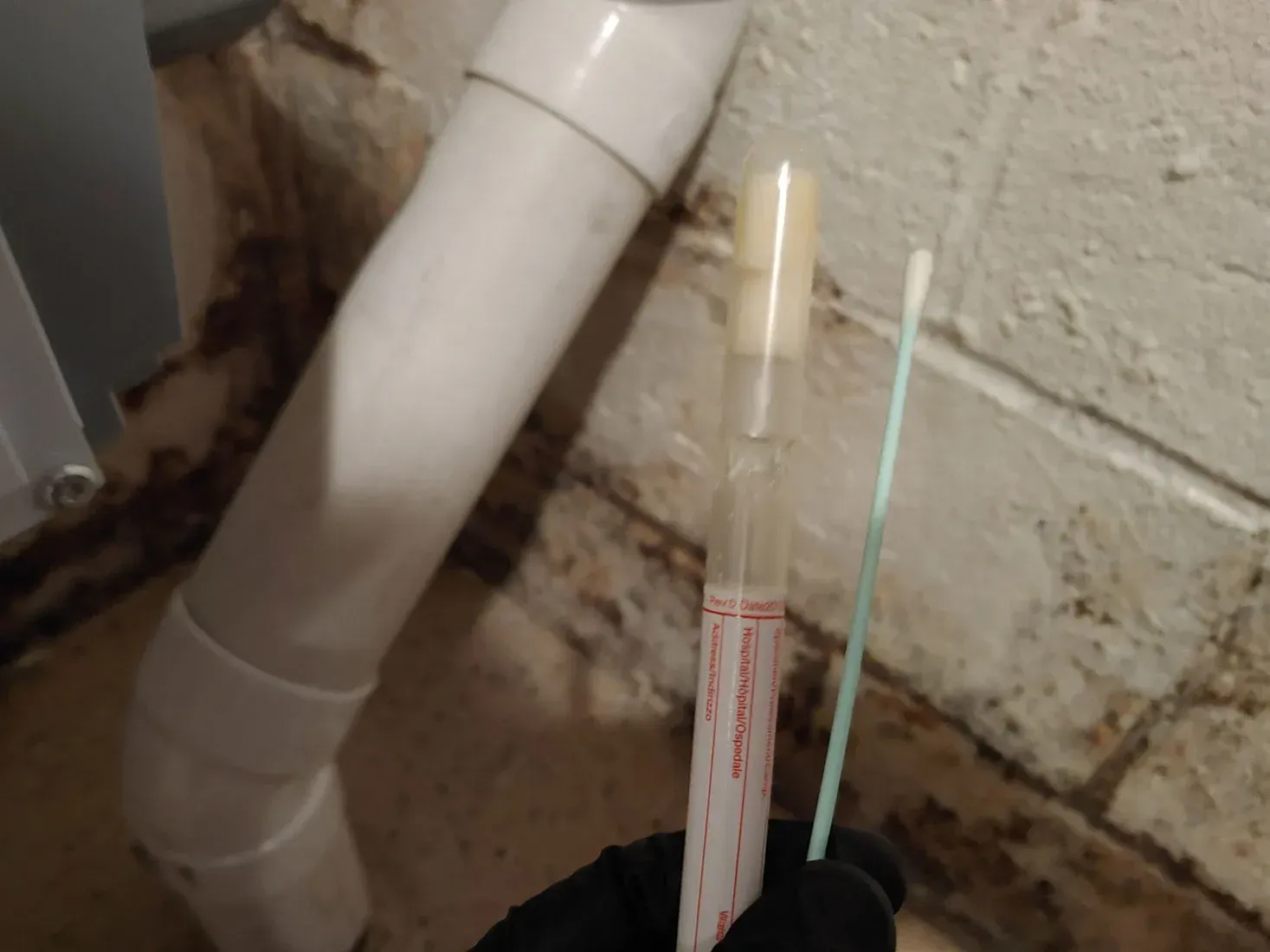 Mold remediation Summit NJ