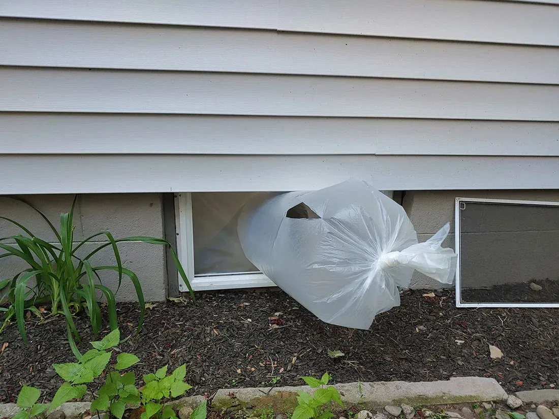 Mold remediation Bridgewater NJ