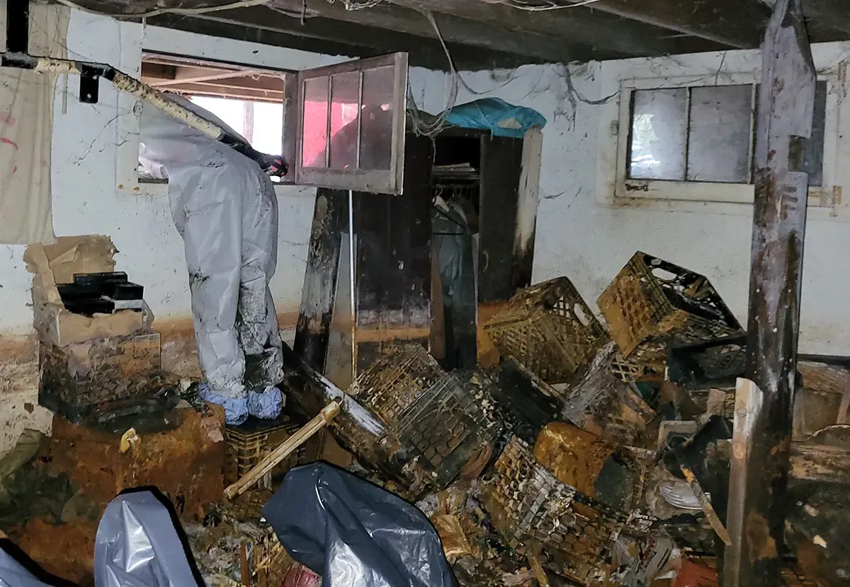 Mold remediation Bridgewater NJ 3