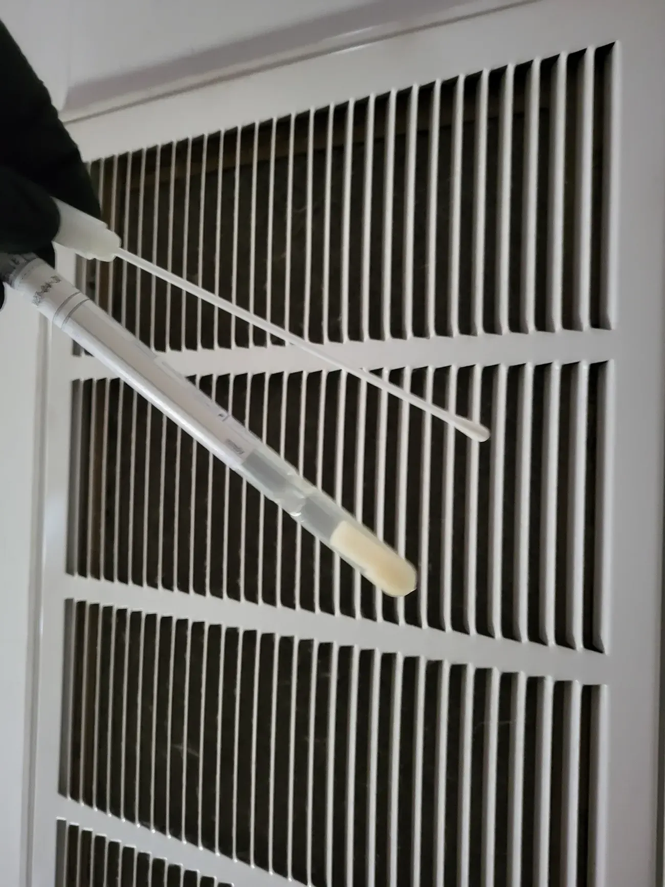 Mold remediation Bridgewater NJ 3
