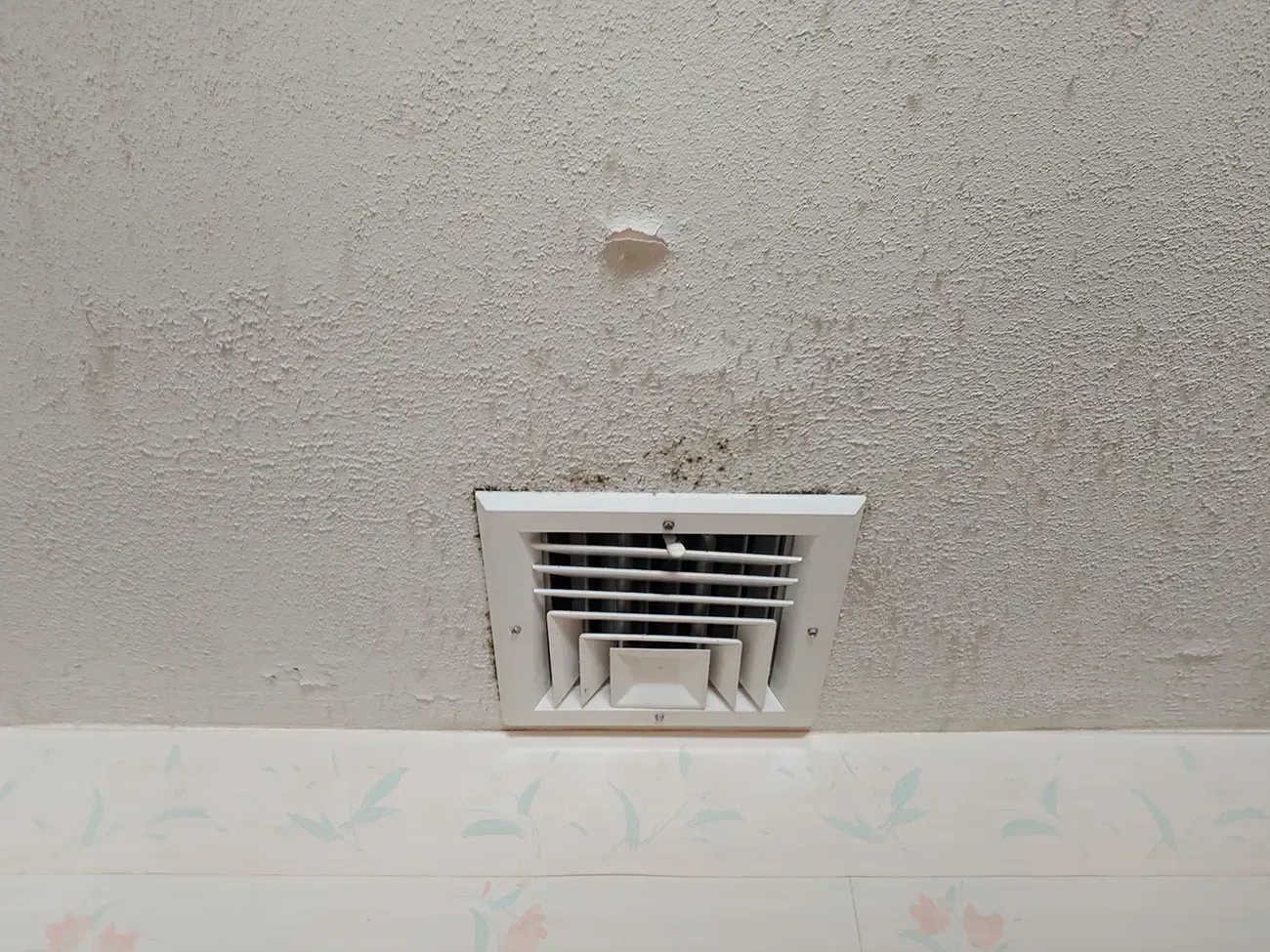 Mold remediation Bridgewater NJ 4