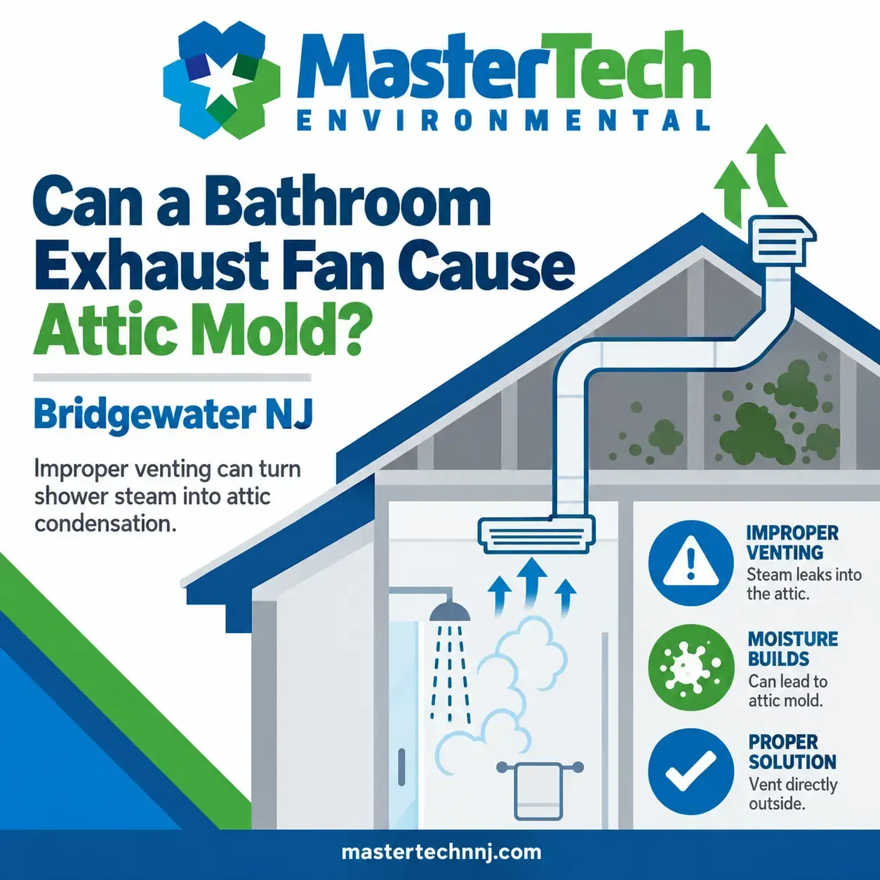 Mold remediation Bridgewater NJ