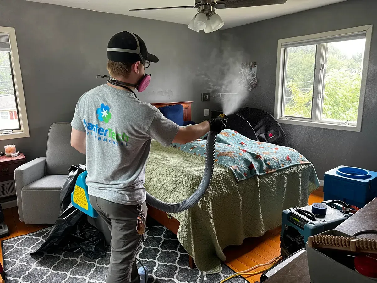 Mold remediation in Morristown NJ