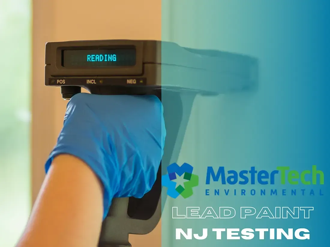 Mold Remediation Livingston NJ