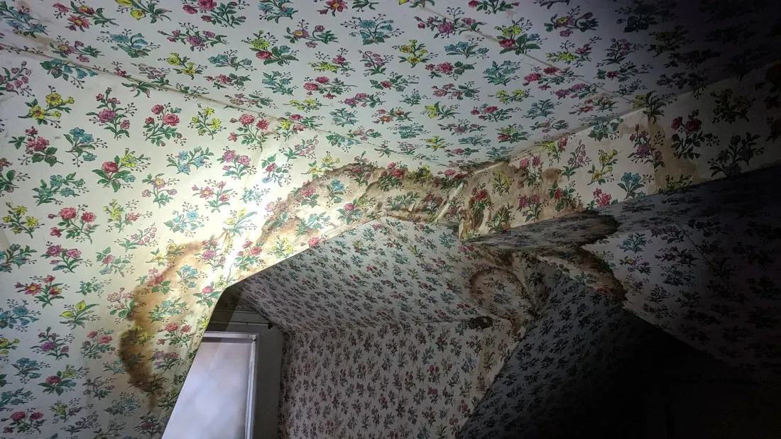 Mold Remediation Montclair NJ
