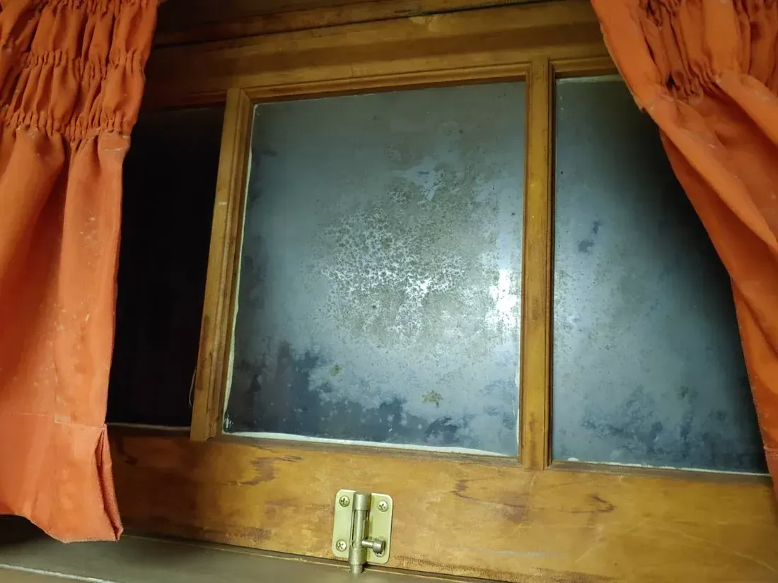 Mold Remediation Montville NJ