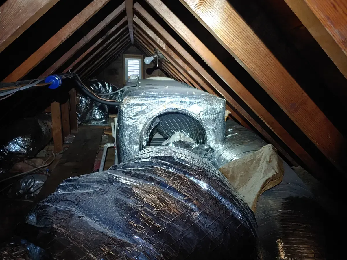 Mold remediation in Montville, NJ