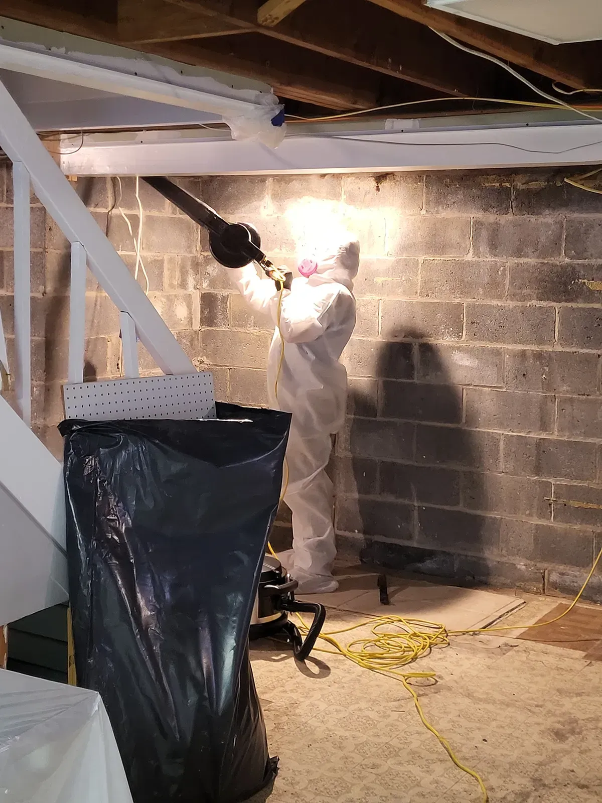 Mold remediation Morris County