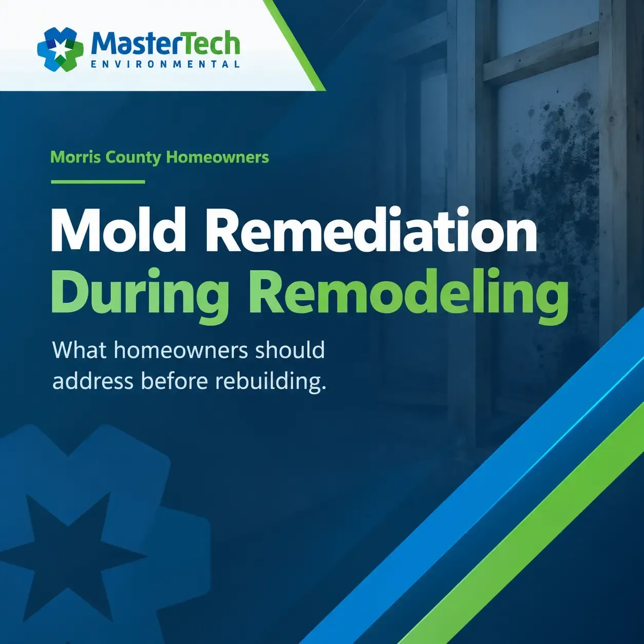 Mold Remediation Morris County NJ