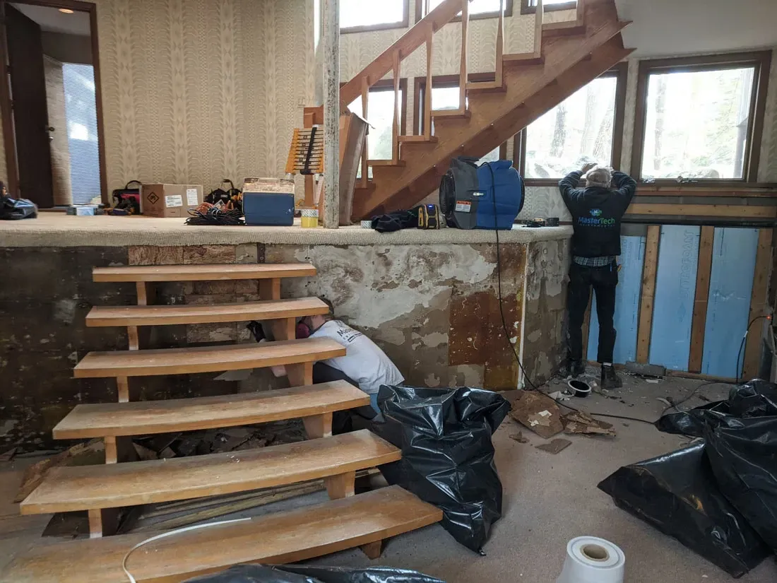 Mold Remediation Morris County NJ