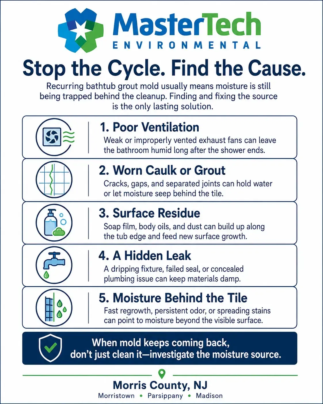Mold remediation Morris County NJ 2