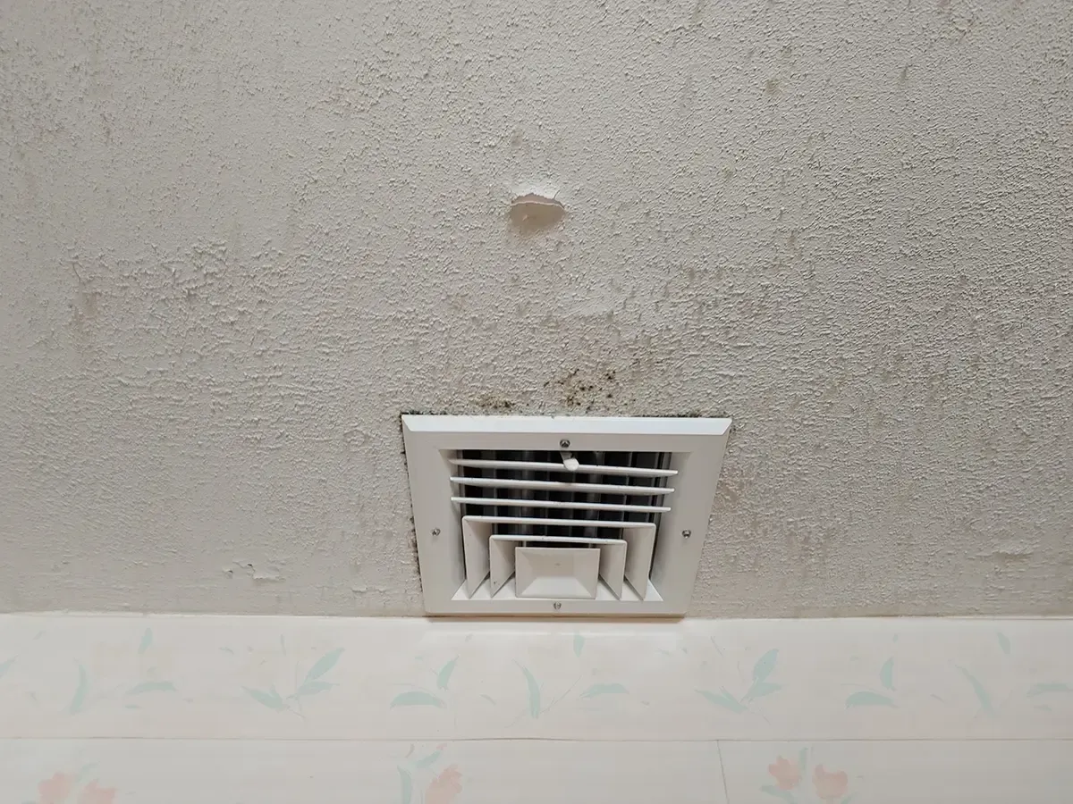 Mold Remediation Morris County NJ 3