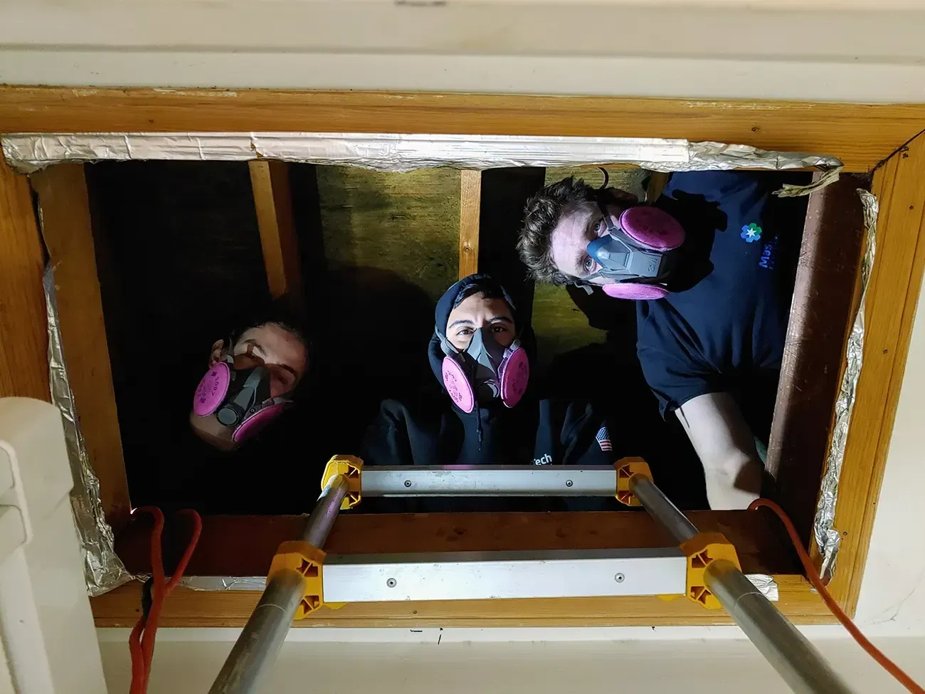 Mold remediation Morris County NJ 3