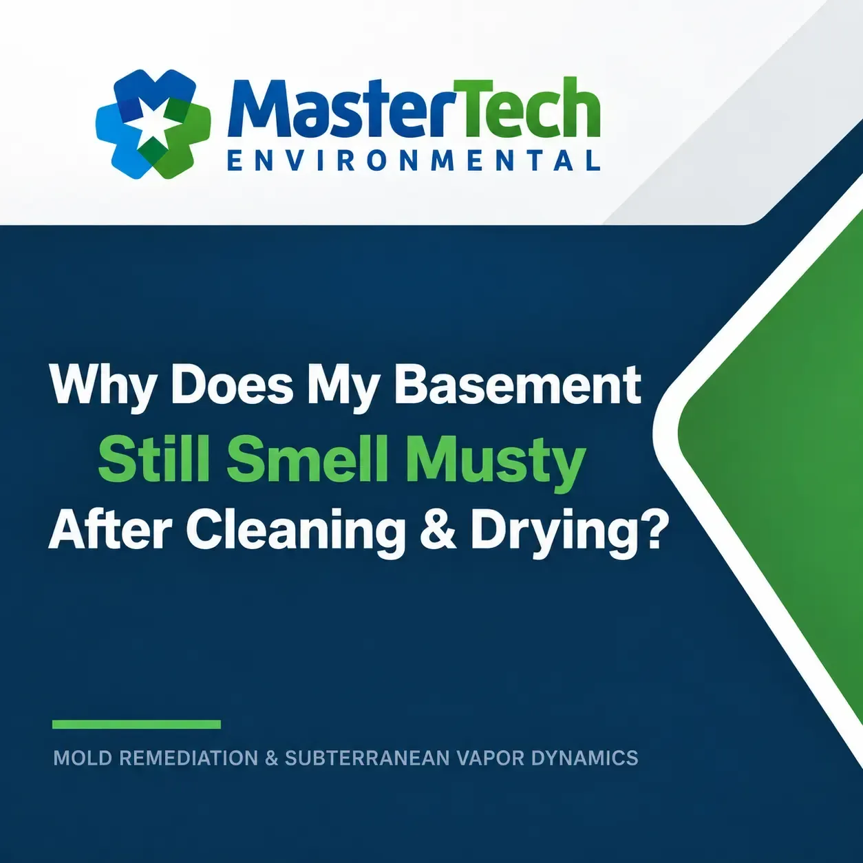 Mold remediation Morris County NJ