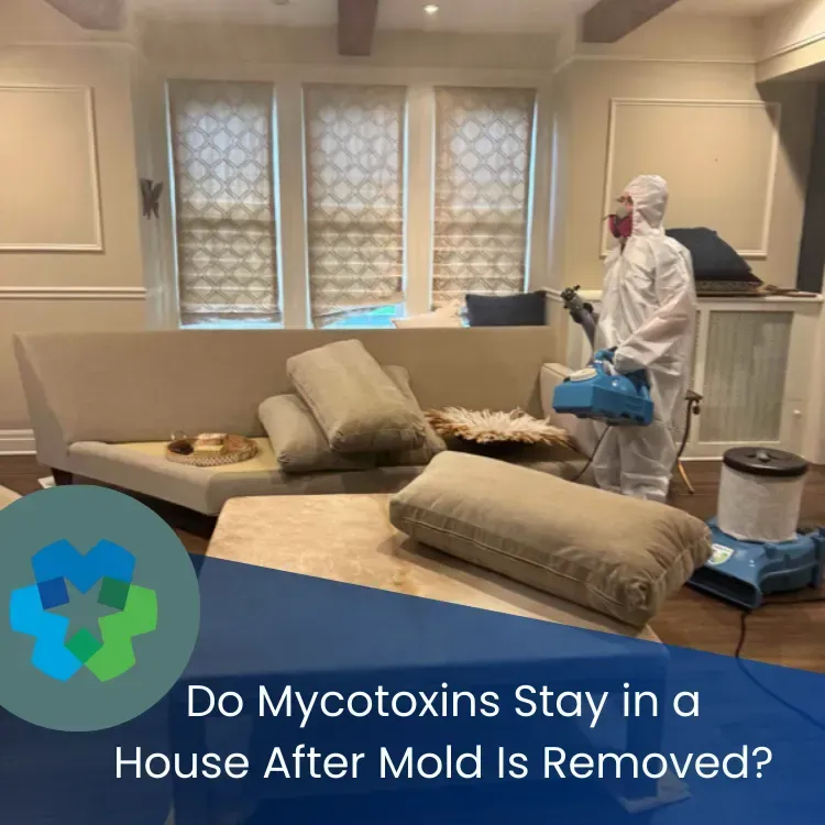 Mold remediation Morristown NJ