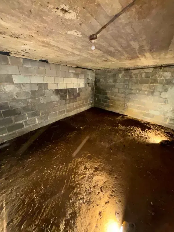Mold remediation Morristown NJ 3