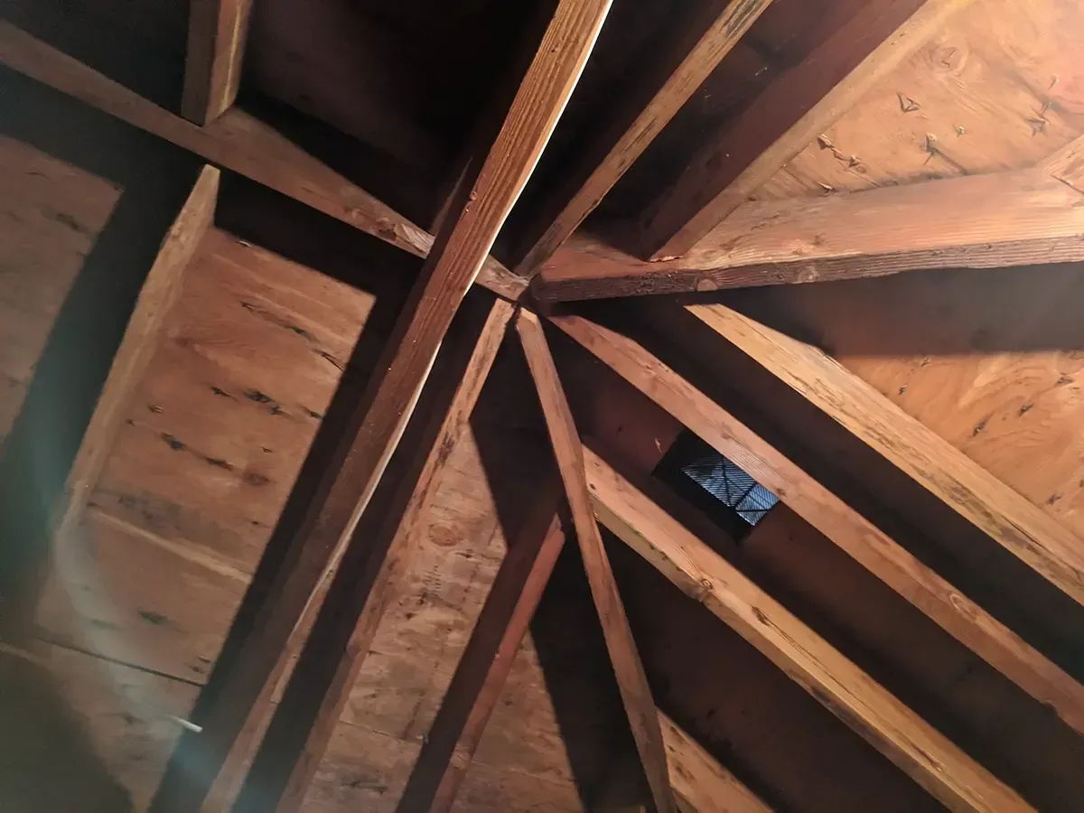 Mold remediation Morristown NJ 4