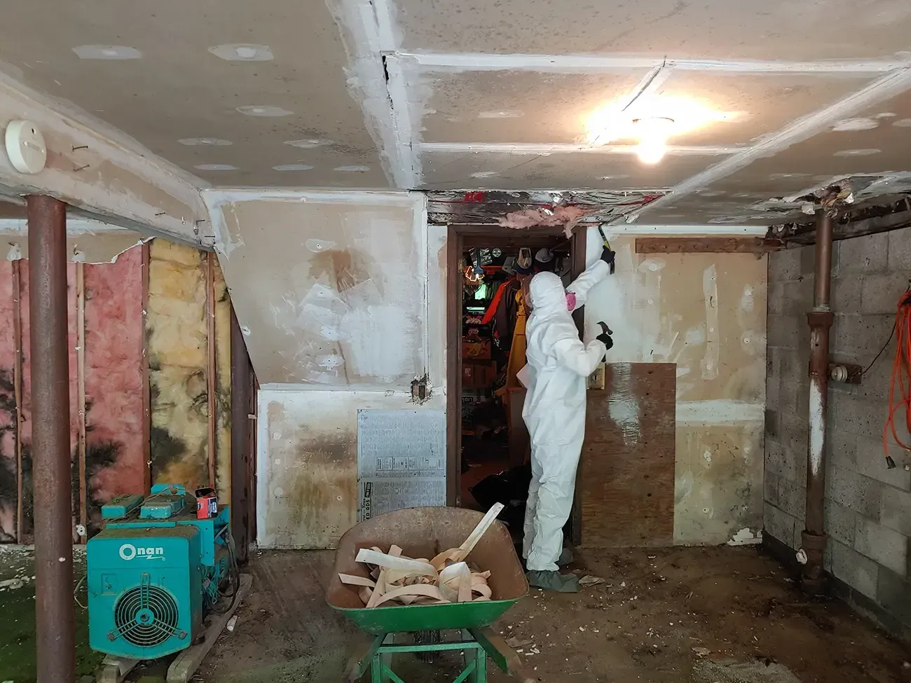 Mold remediation Morristown NJ 4