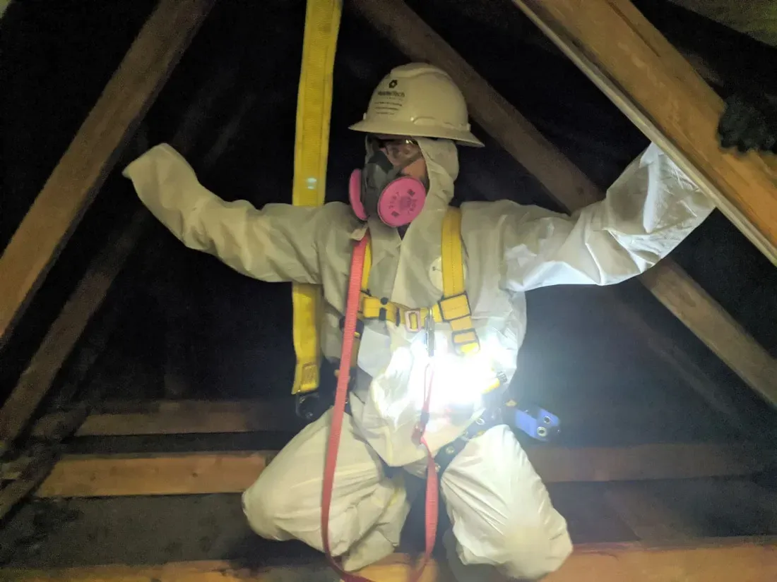 Mold removal or remediation in Morristown, NJ
