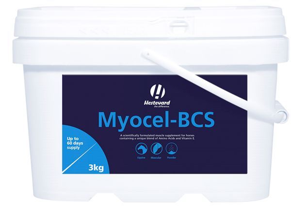 Hestevard Myocel BCS 3kg helps with muscle development at fethard equine hospital