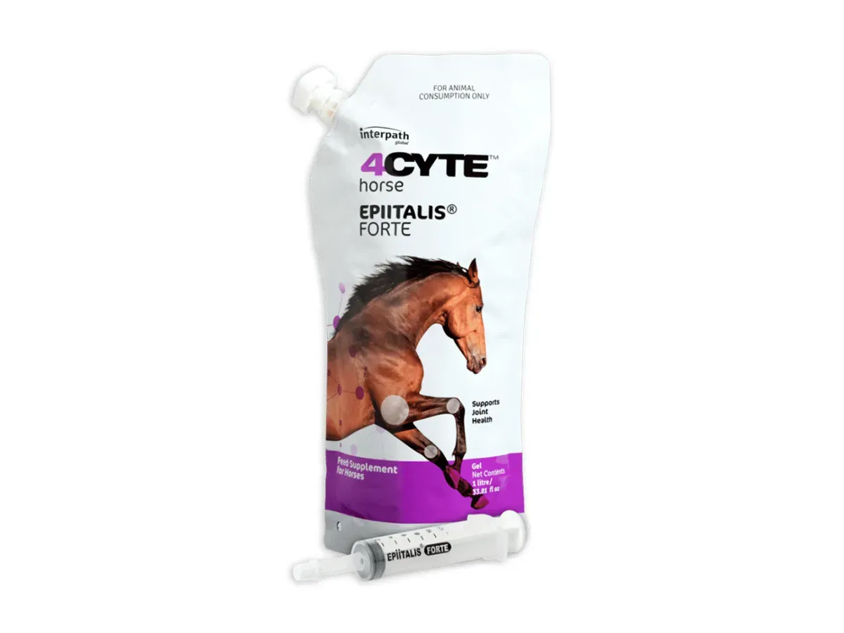 4cyte, fourcyte, Fethard equine hospital, FEH, joint supplement for horses.