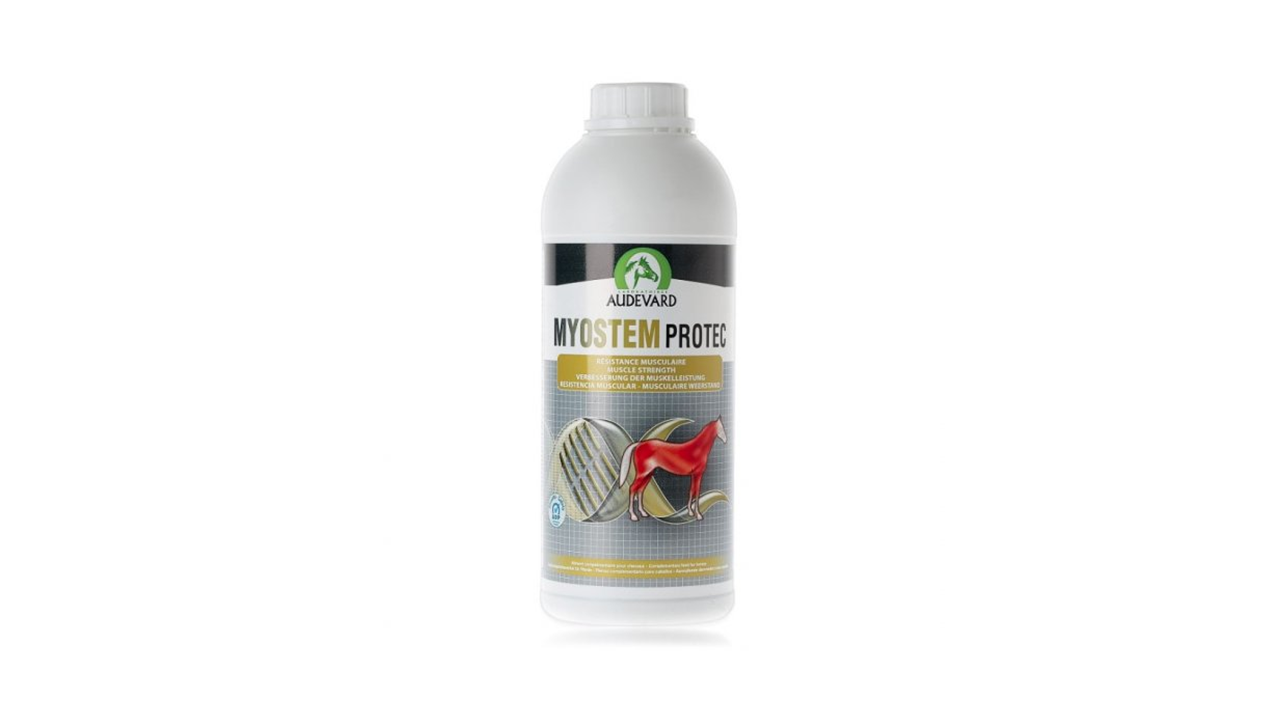 Myostem+Protec  promote the muscular strength of sports horses (antioxidants, amino acids, etc.).