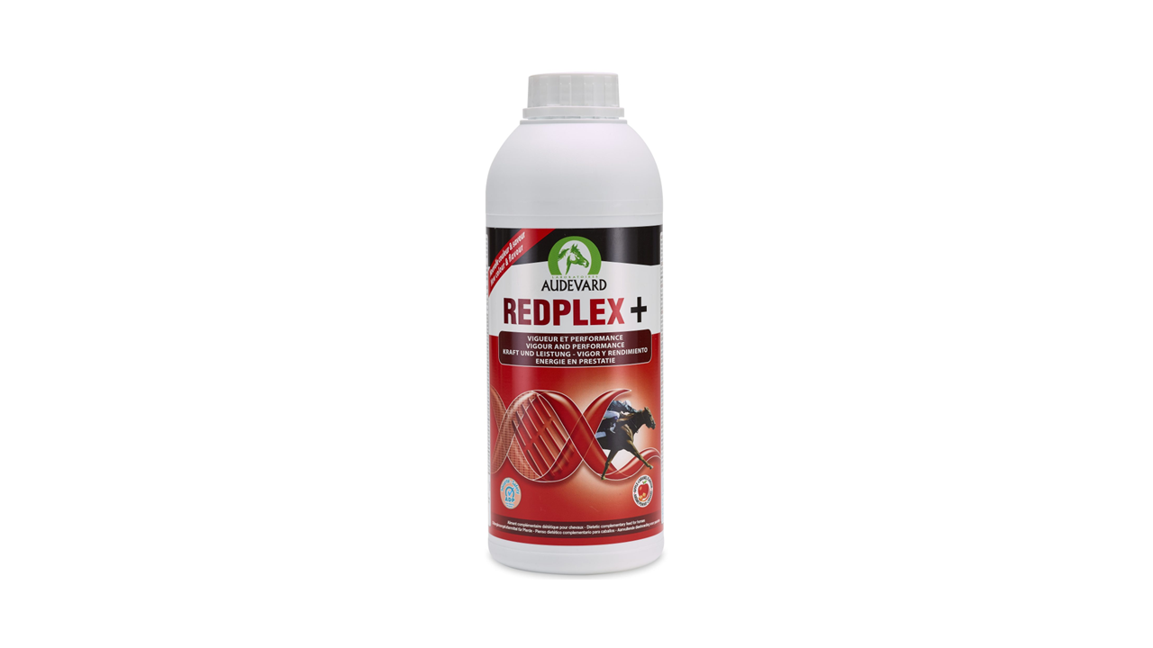 Redplex 1 litre iron and vitamin supplement for horses fethard equine hospital