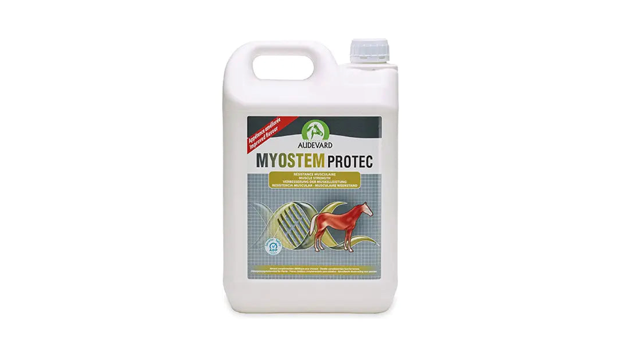 Myostem+Protec  promote the muscular strength of sports horses (antioxidants, amino acids, etc.).