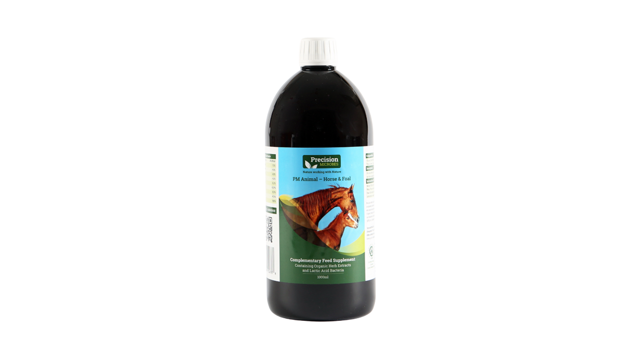 Supplements, Fethard Equine Hospital, FEH, Precision Microbes, gut health, probiotic, prebiotic, digestive health