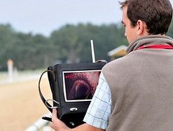 Equine Internal Medicine, Fethard Equine Hospital, Fethard, Vets, Horses, On board scope, scoping. Ambulatory vet