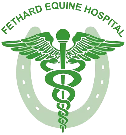 Fethard Equine Hospital