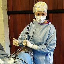 Ann Derham Fethard Equine Hospital